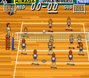 Play Multi Play Volleyball Online