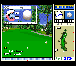 Play Pebble Beach Golf Links Online