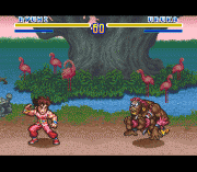 Play SD Hiryu no Ken Online