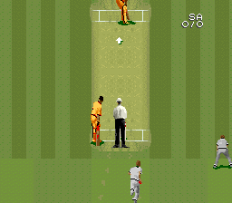 Play Super International Cricket Online