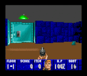 Play Wolfenstein 3D Online