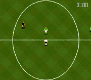 Play World Cup USA 94 Online